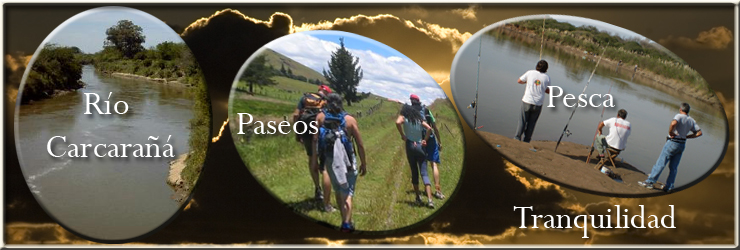 Actividades "Los Nonos"